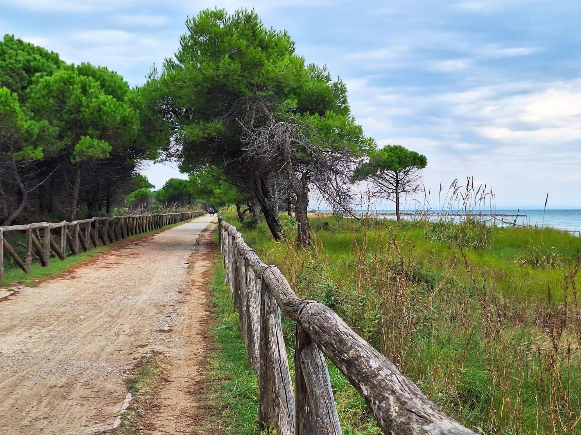 Renovated For 5 Guests In Appartamento